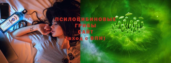 эйфоретик Нязепетровск