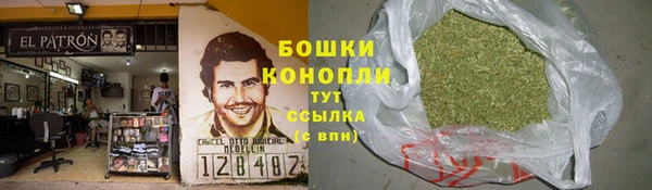 ГАЛЛЮЦИНОГЕННЫЕ ГРИБЫ Няндома