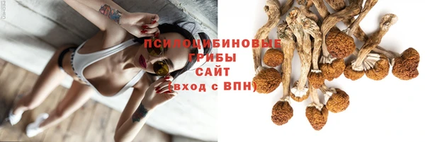 мет Нягань