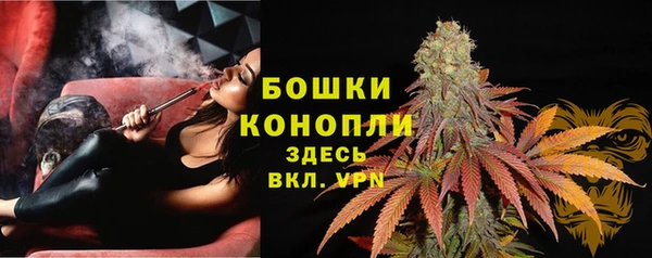 тгк Весьегонск