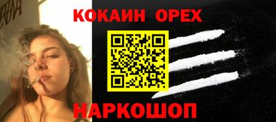 дмт Гусев