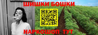 гашик Бийск