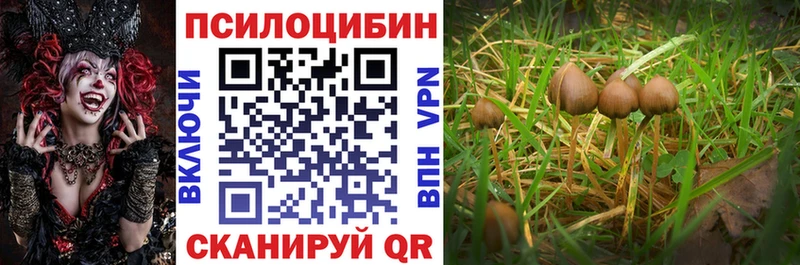 нарко площадка официальный сайт  mega ТОР  Полевской  Псилоцибиновые грибы GOLDEN TEACHER 