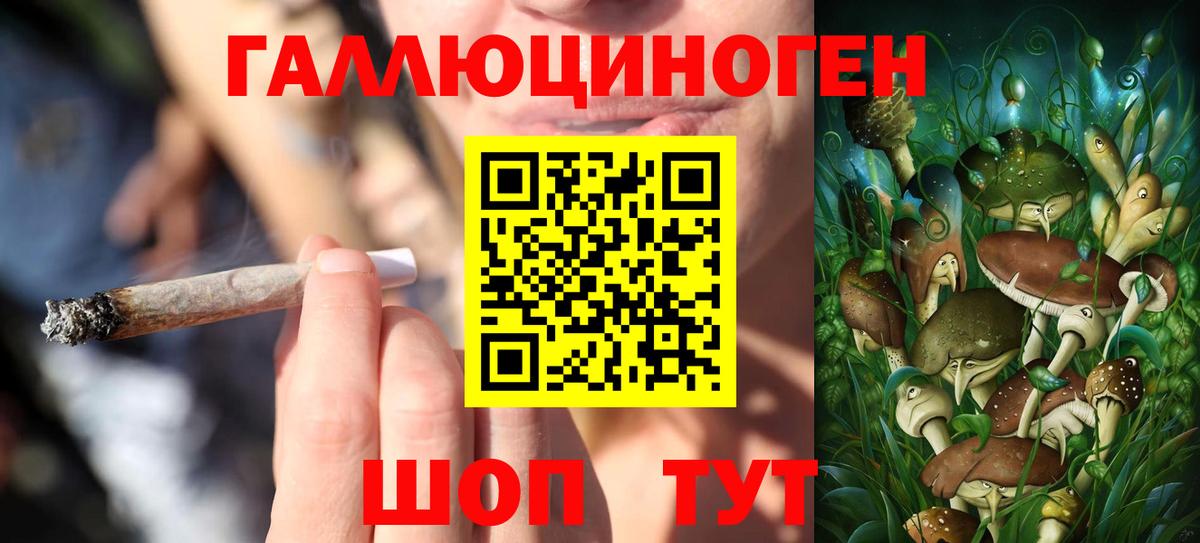 Полевской  Галлюциногенные грибы Psilocybine cubensis  где можно купить наркотик  Вход с VPN 